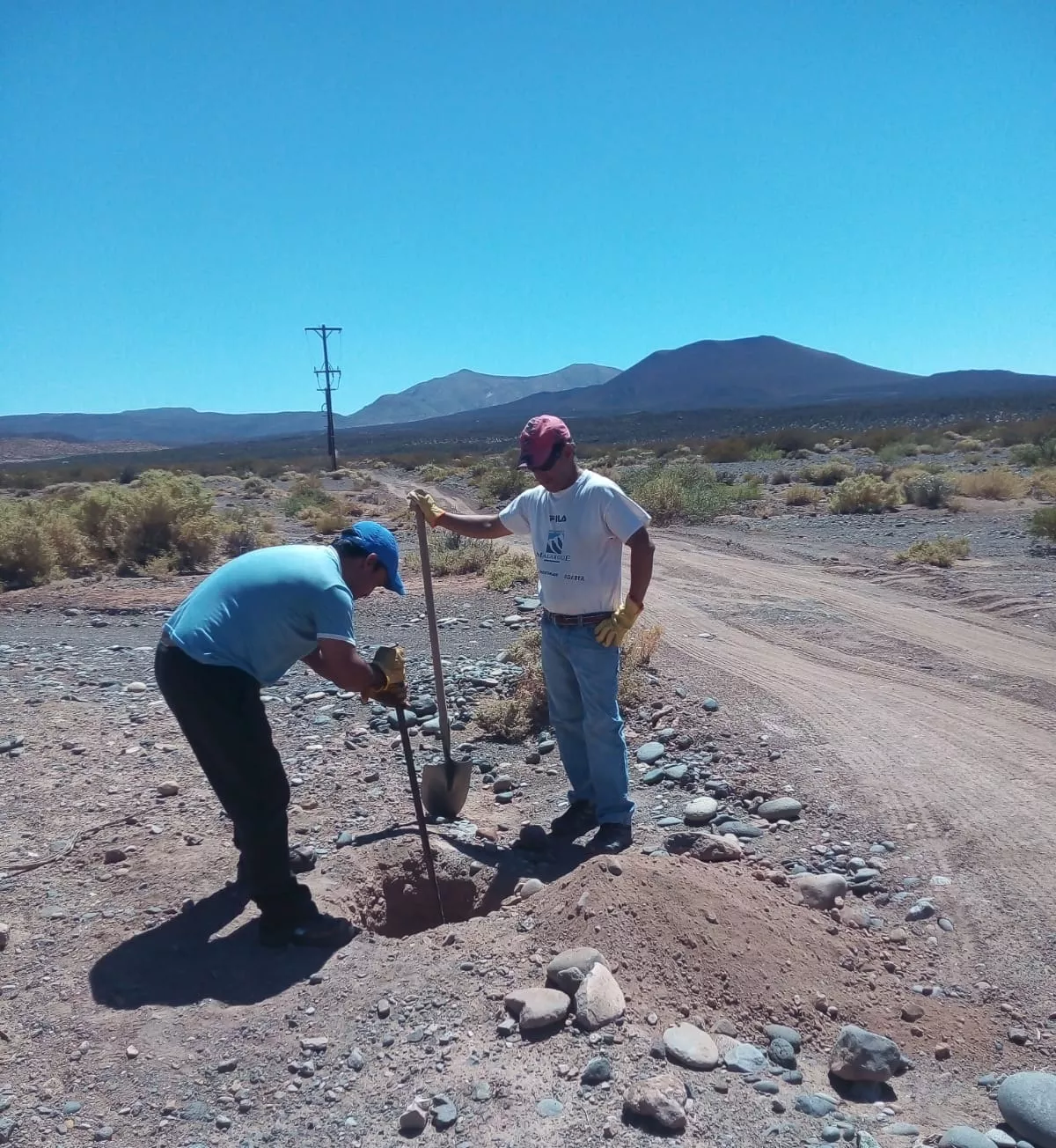 979569cb-2463-4ba1-9cd3-9caf40a30513