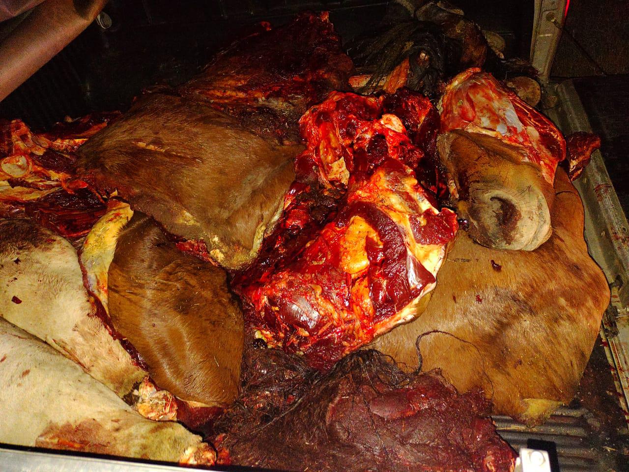 WhatsApp Image 2021-03-30 at 08.10.25