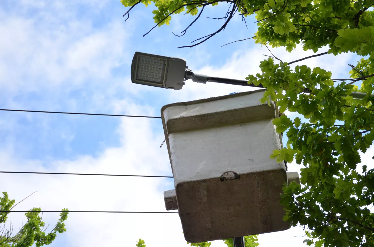 WhatsApp Image 2022-10-20 at 09.02.16