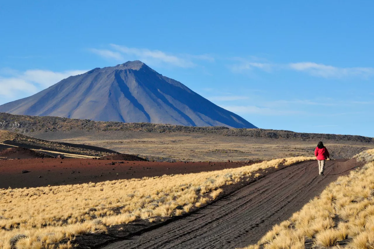 WhatsApp-Image-2021-08-03-at-11.20.38