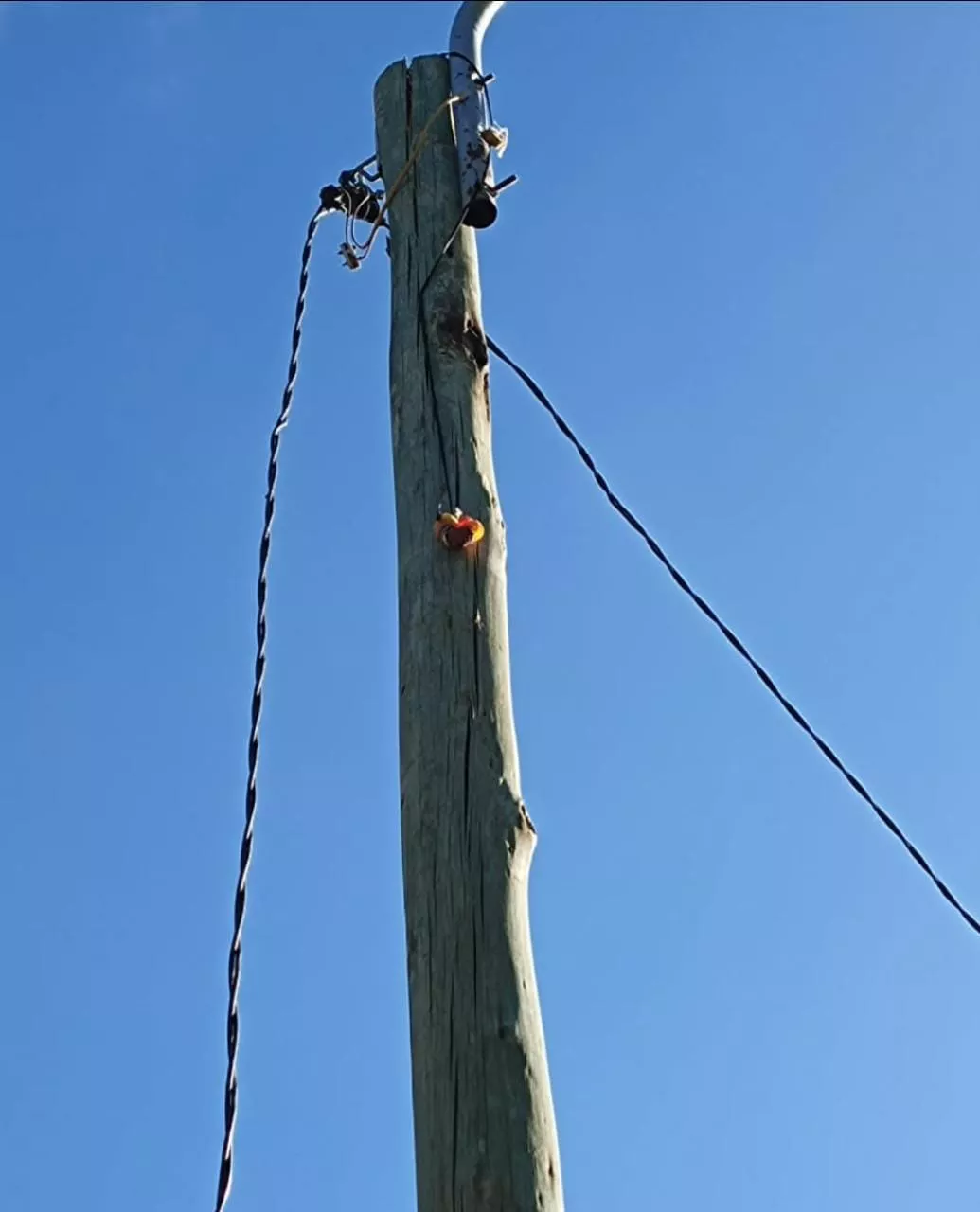 WhatsApp Image 2022-01-20 at 10.07.16