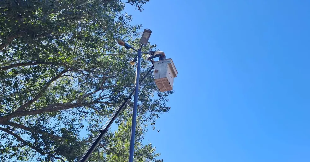 335329275_590902149733308_2932583519511298058_n