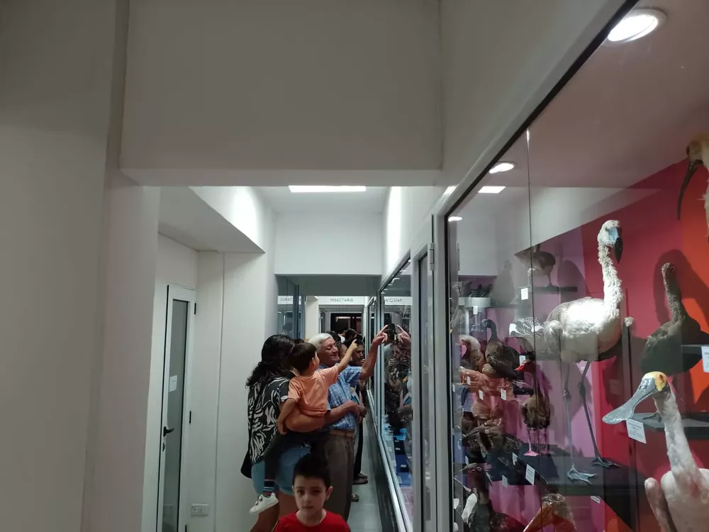 WhatsApp Image 2023-03-24 at 18.40.11