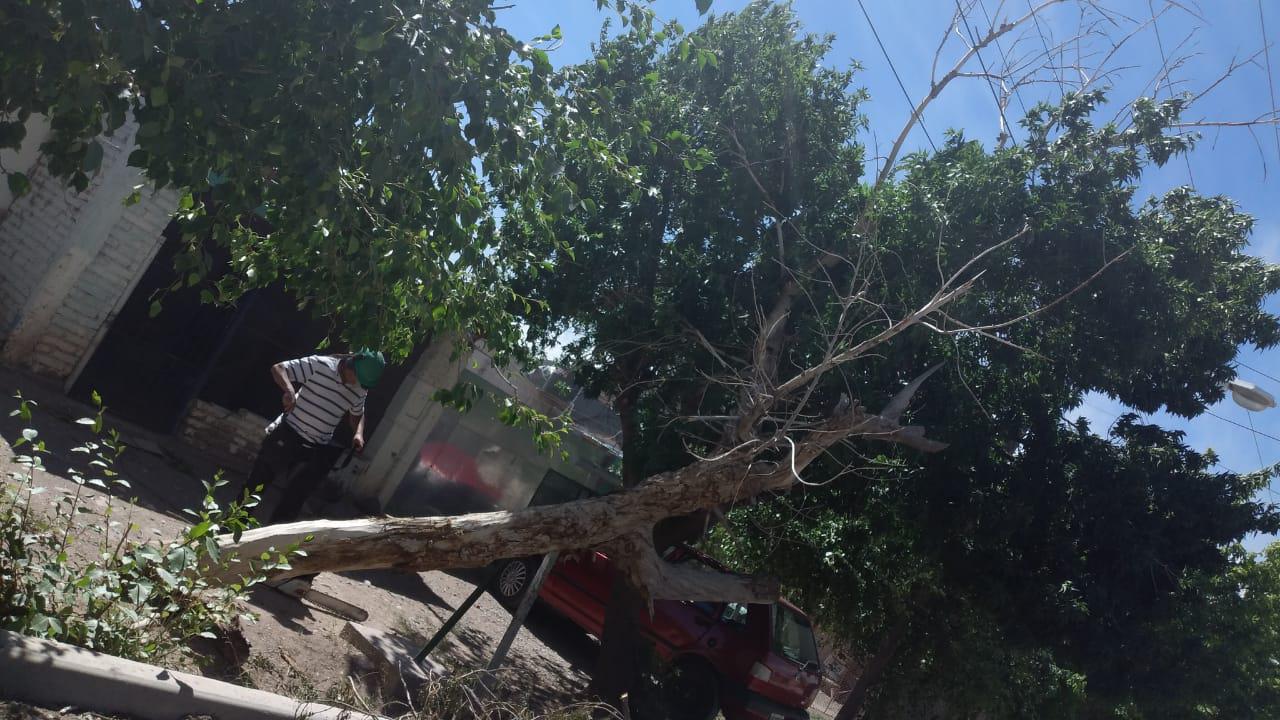 WhatsApp-Image-2020-12-11-at-07.18.24