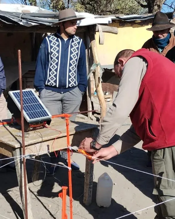 350107884_1019394099077858_412242183889759650_n