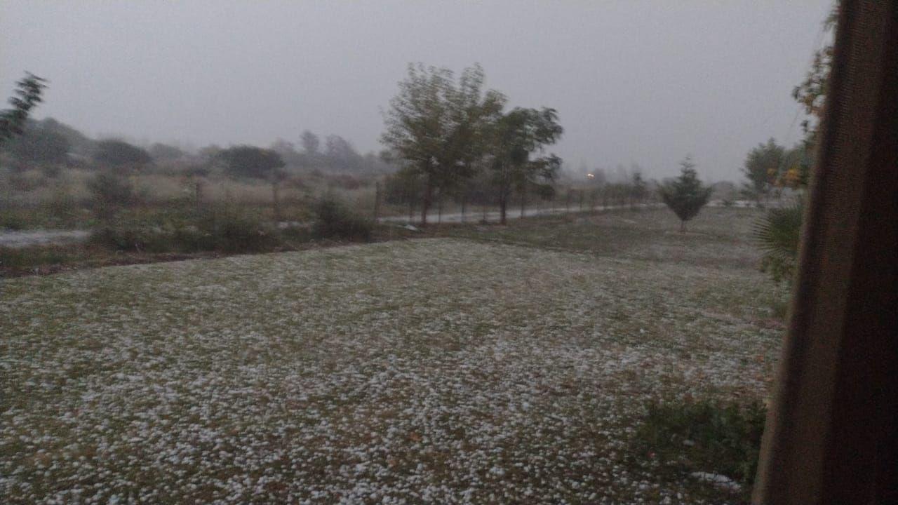WhatsApp Image 2021-04-20 at 18.41.22