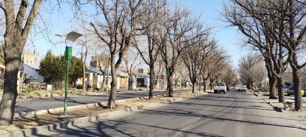 WhatsApp-Image-2021-08-05-at-08.26.11-1-980x441