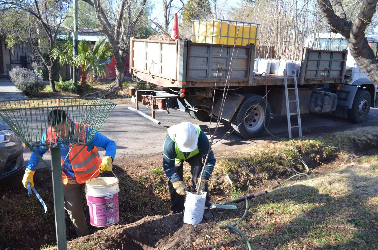 298386351_428158749339244_6926023439176541680_n