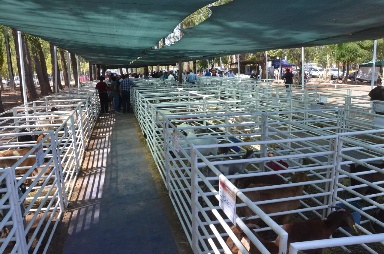 8a28f116-3af0-4211-8aa8-e4b66708cf22