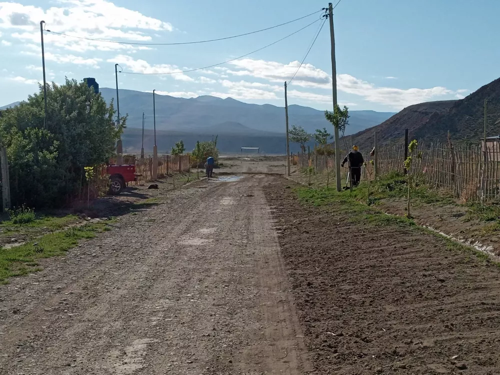 bdd6da29-a29e-41ff-9f63-e2926962fc21