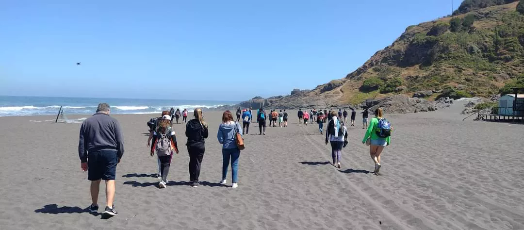 4f38f75a-2b1a-4040-b4c4-7aa08466ae43