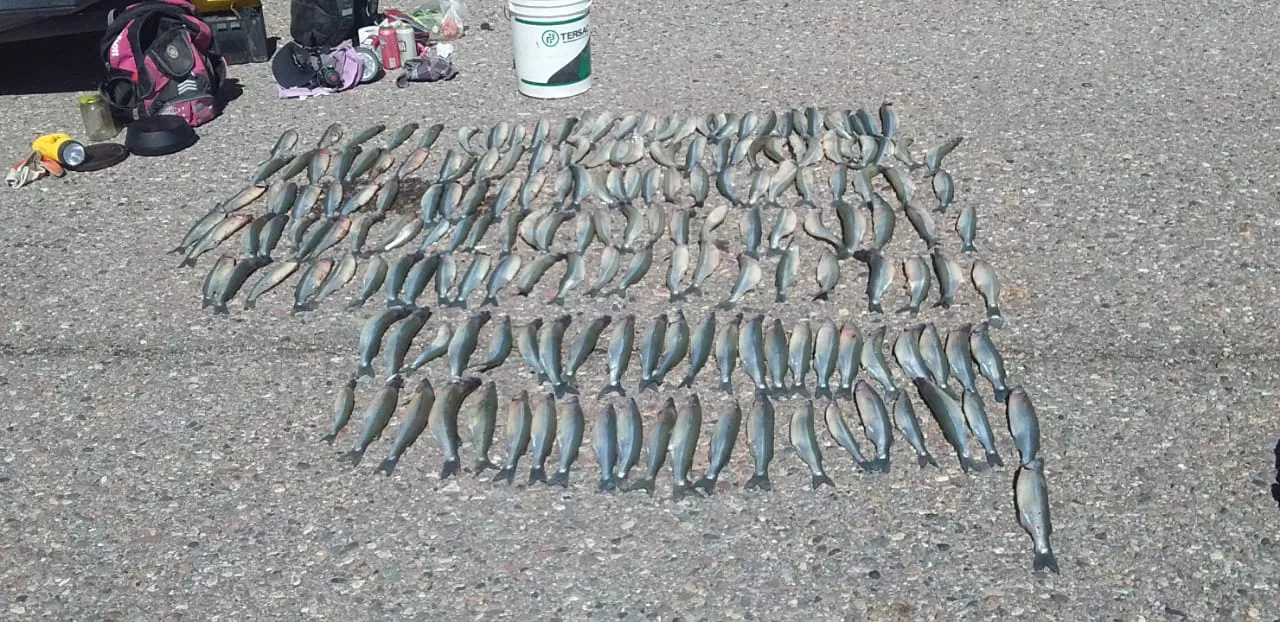 WhatsApp Image 2022-09-25 at 16.18.39