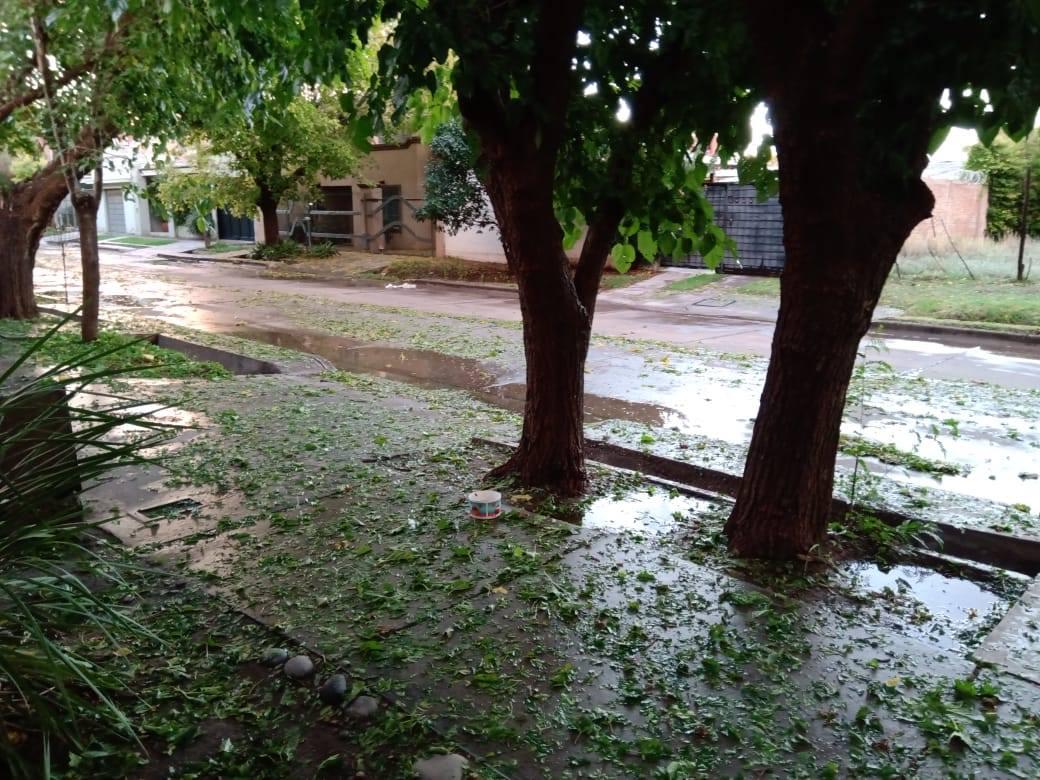 151549249_1768345873325034_8872480357402428276_o