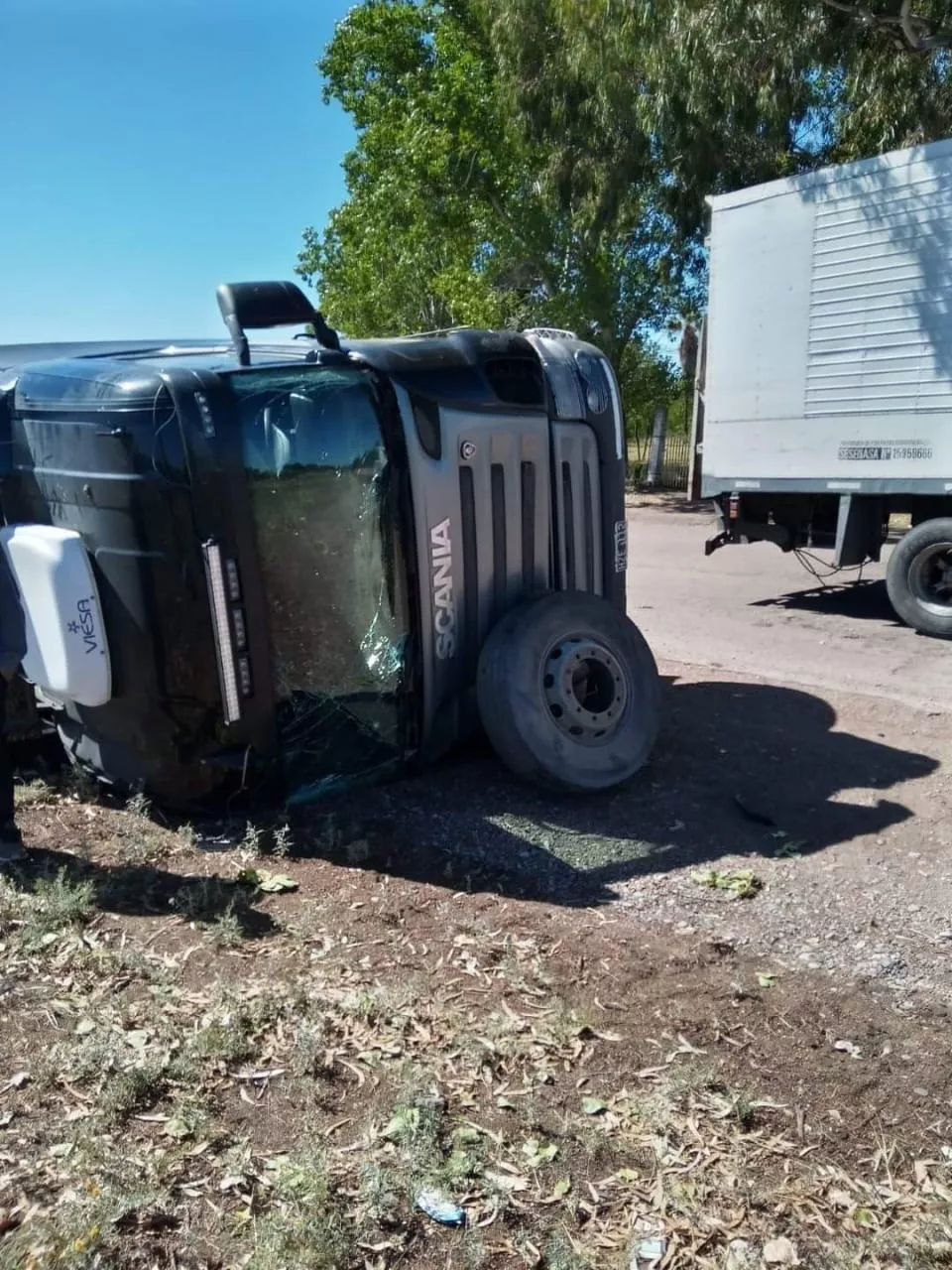 255275159_3620374814851461_2073408744599796340_n