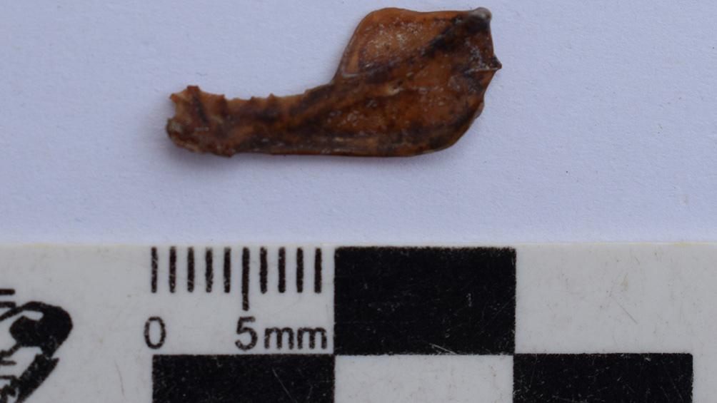 60f5e6b6c8bfc_1004x565