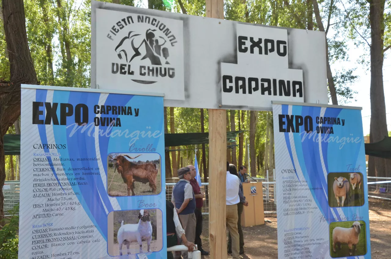 bdaa487c-164c-481e-a5b0-94434ac80240