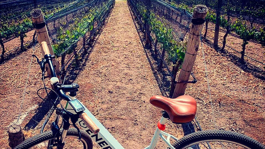 6143cce09bd39_1004x564