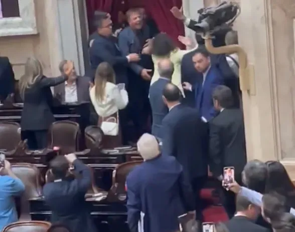 zago-almiron-pelea-diputados