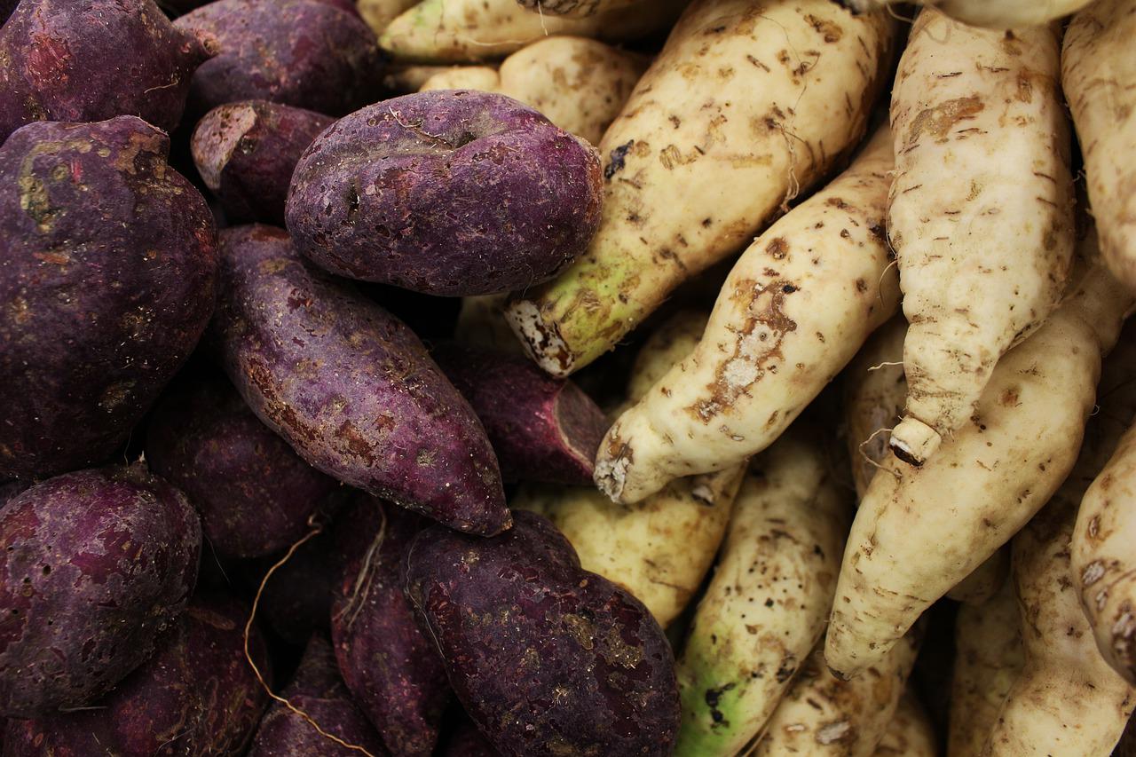 Tipos-de-camote