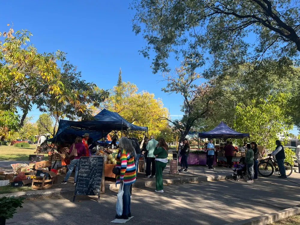 WhatsApp Image 2025-04-10 at 11.53.02