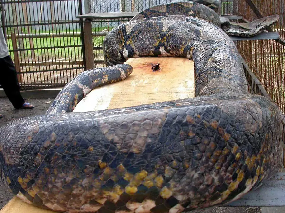 N7QWGMZ4QZB6JA7J7KK2TZJAEE