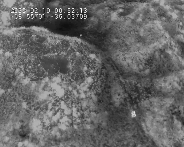 d482a85f-3e40-442b-993c-f9346c0b7d05