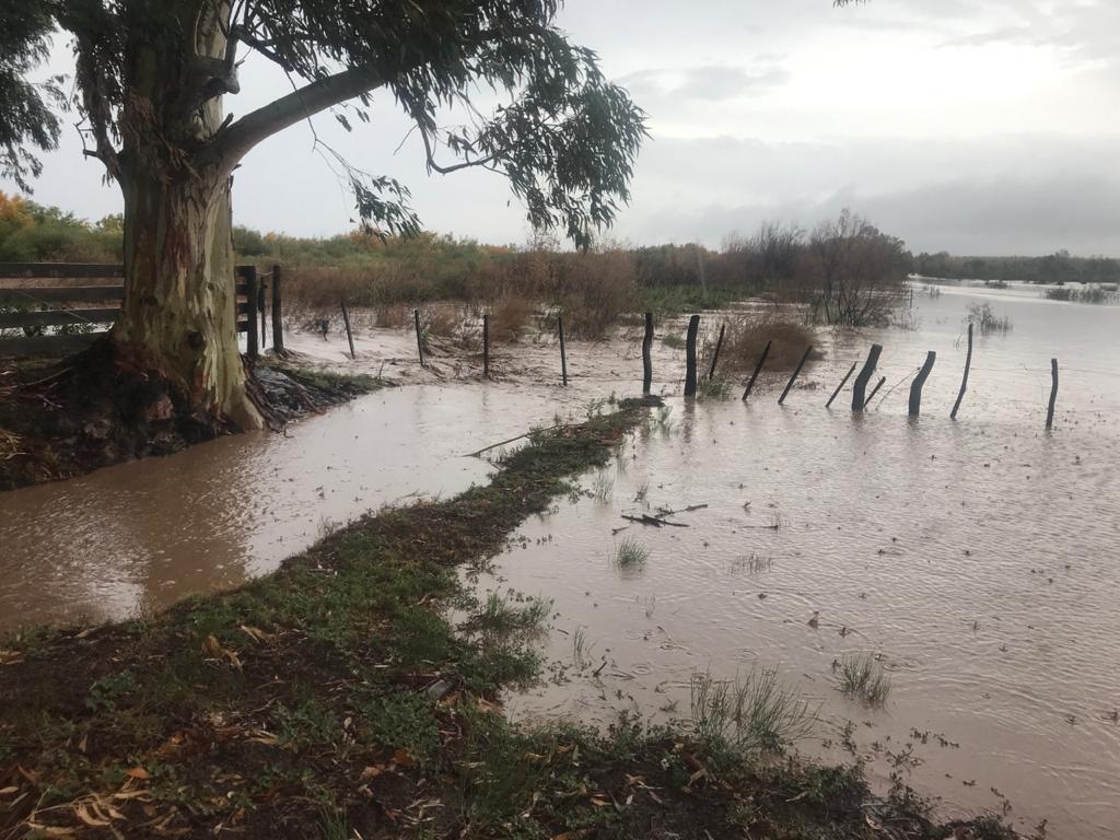 colonia-espanola-desastre-lluvias-camara-san-rafael-direccion-de-hidraulica