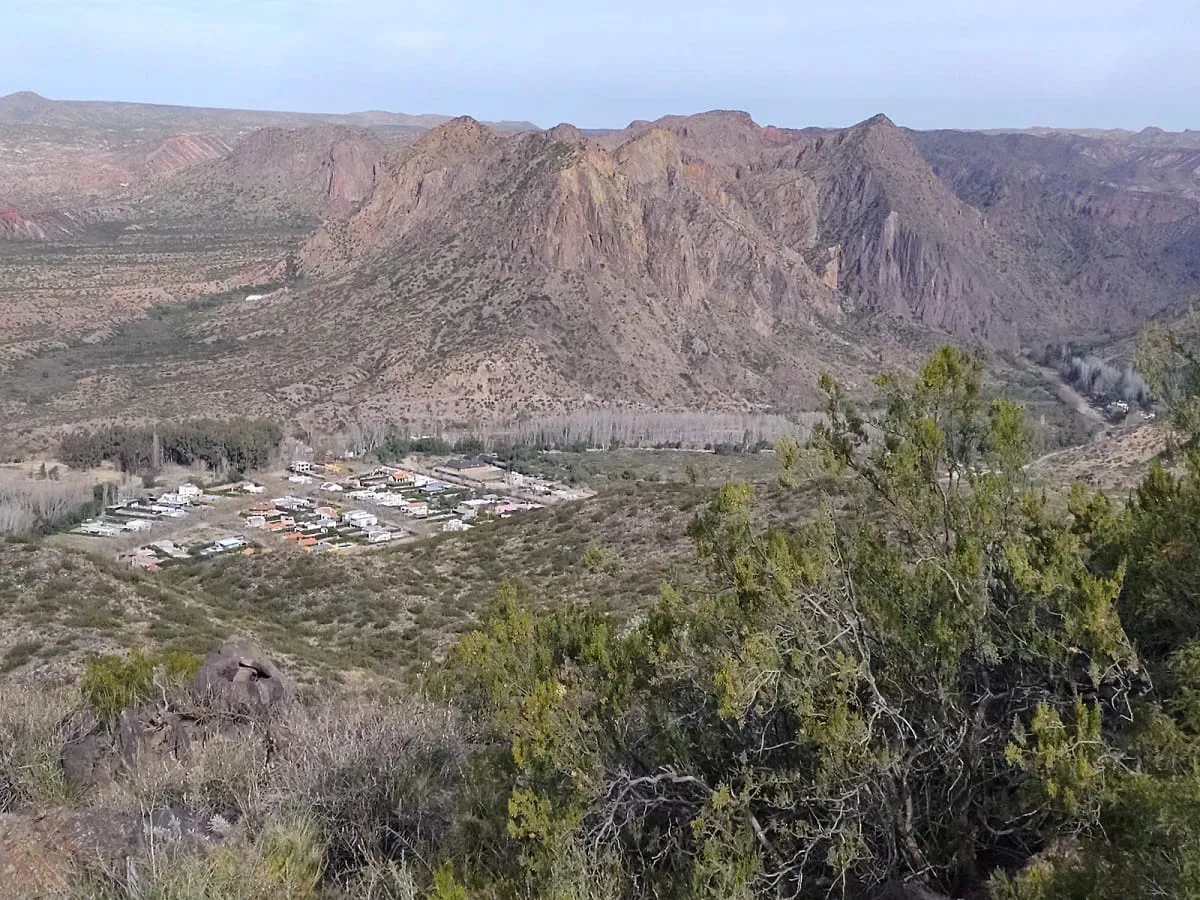 WhatsApp Image 2025-03-12 at 12.49.30