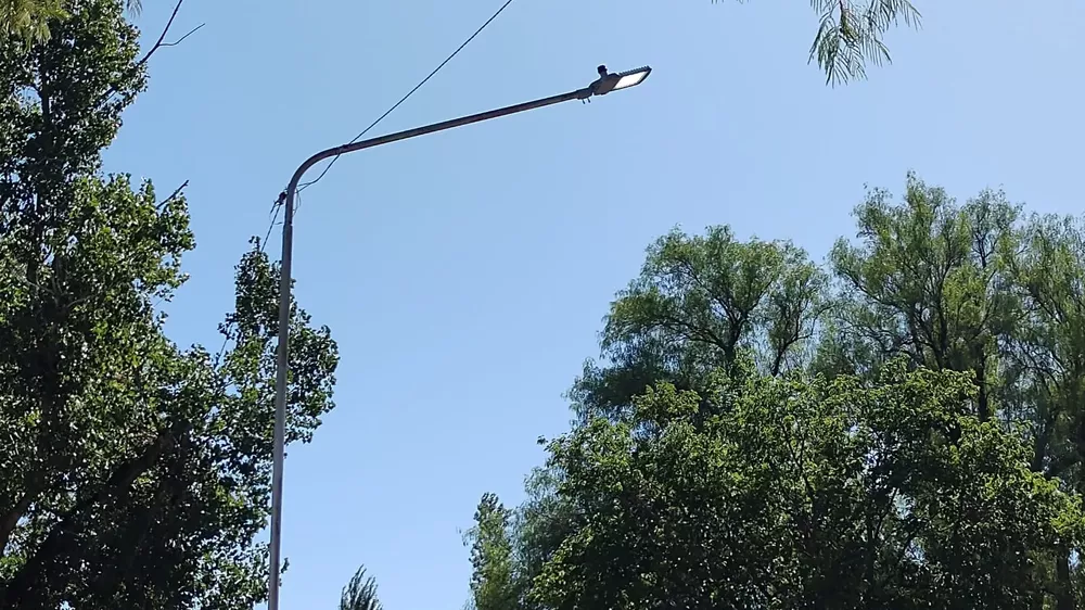 322864363_556108669738506_5727028768381575633_n