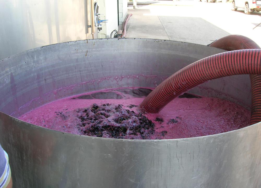 vino