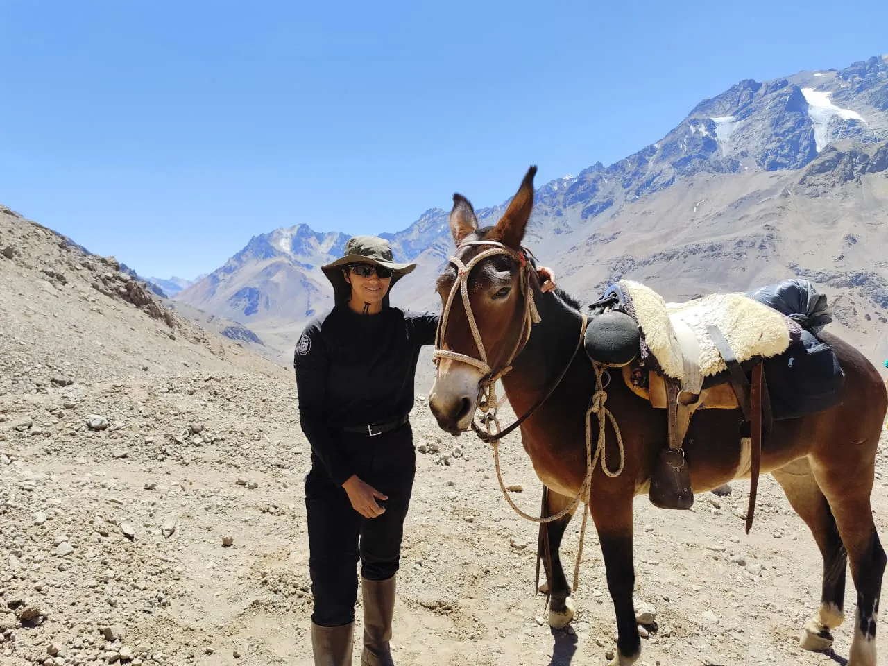 WhatsApp-Image-2025-03-14-at-18.47.07-1