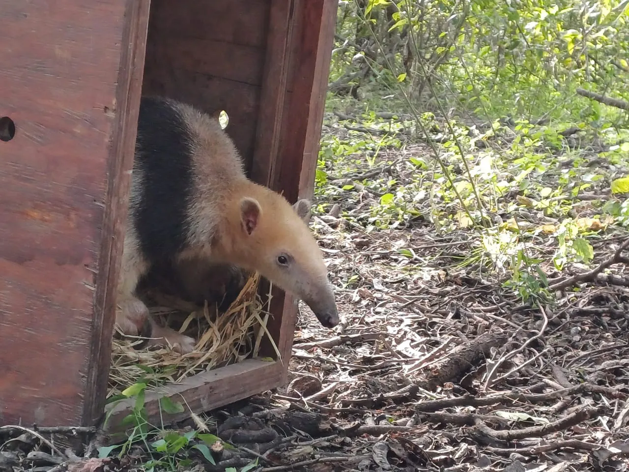 WhatsApp-Image-2024-06-15-at-18.24.42