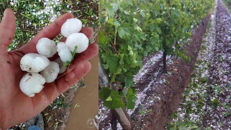 granizo-contingencias-camara-de-comercio-pedidos-mendoza