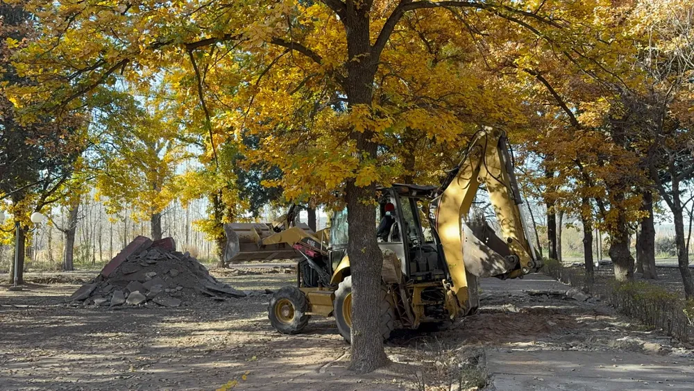 WhatsApp Image 2025-06-12 at 10.22.34(1)