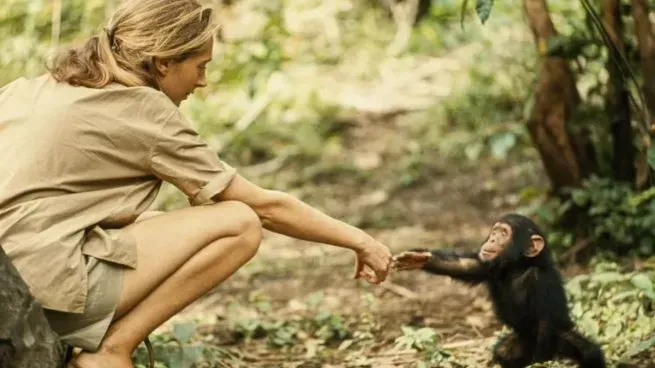 jane-goodall