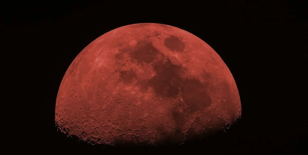 YRdOBNgUZ_1300x655__1