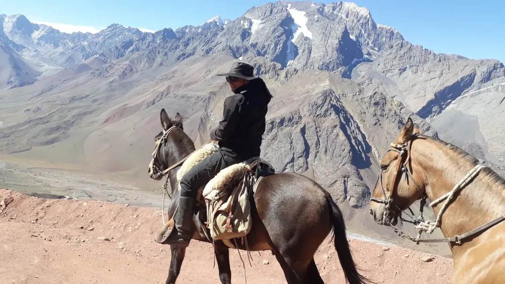 WhatsApp-Image-2025-03-14-at-18.47.07-2