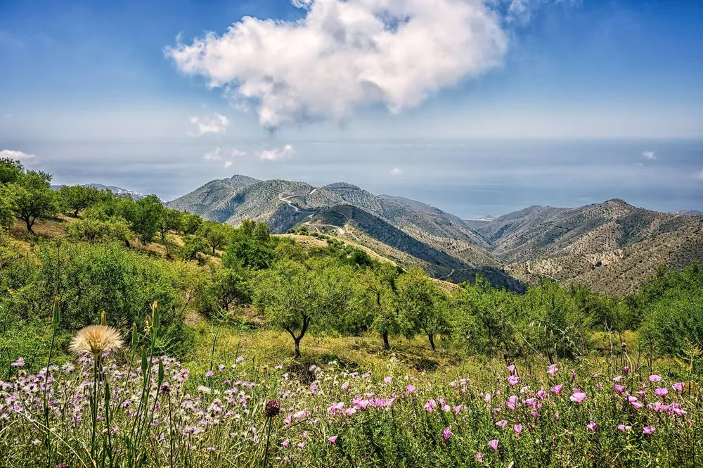 mountains-4366770-1920