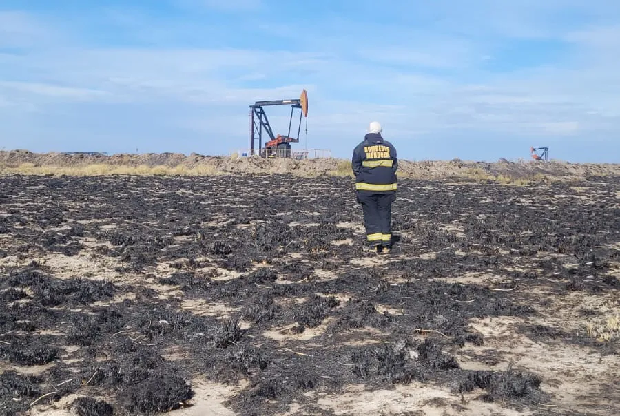 WhatsApp-Image-2024-07-18-at-15.44.42-1