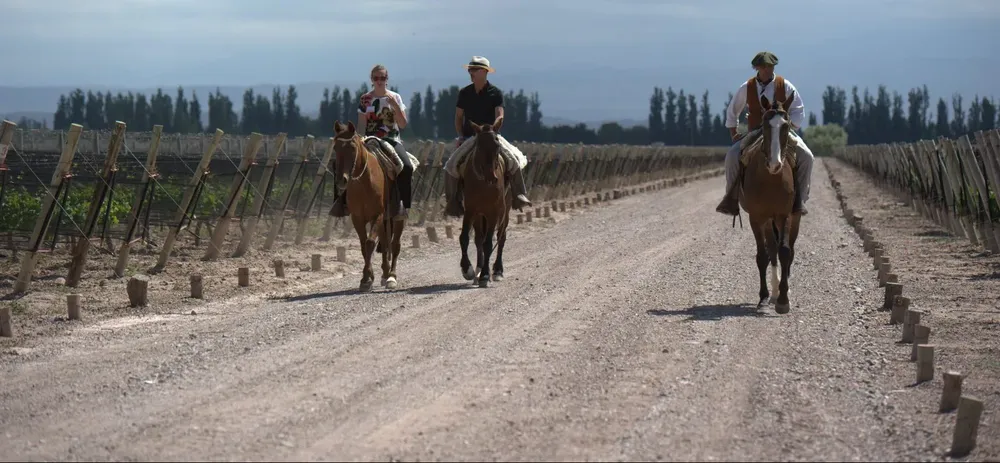 DSC4531-mendoza-top5-e1637842288117