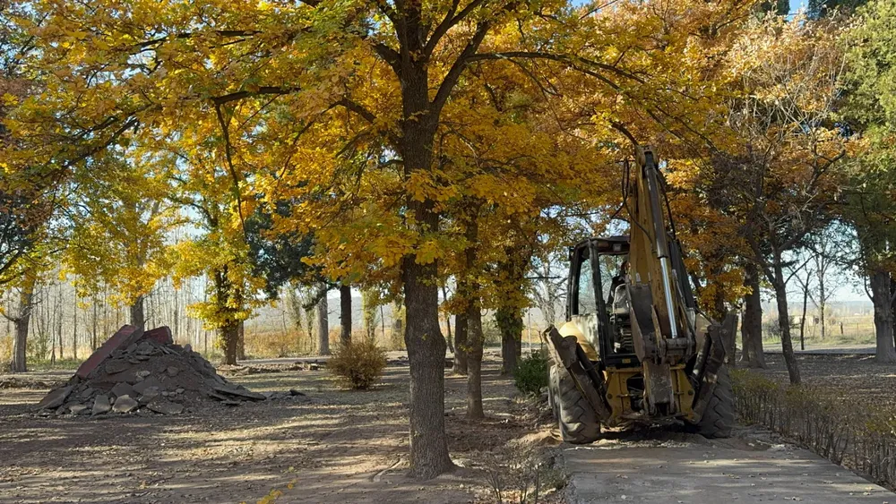 WhatsApp Image 2025-06-12 at 10.22.34