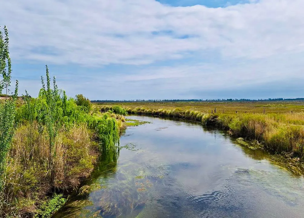 WhatsApp Image 2024-10-17 at 07.17.19