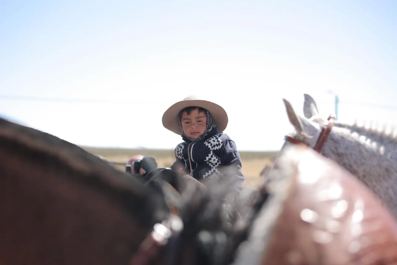 549772672_1257149569773487_6019440172405628790_n