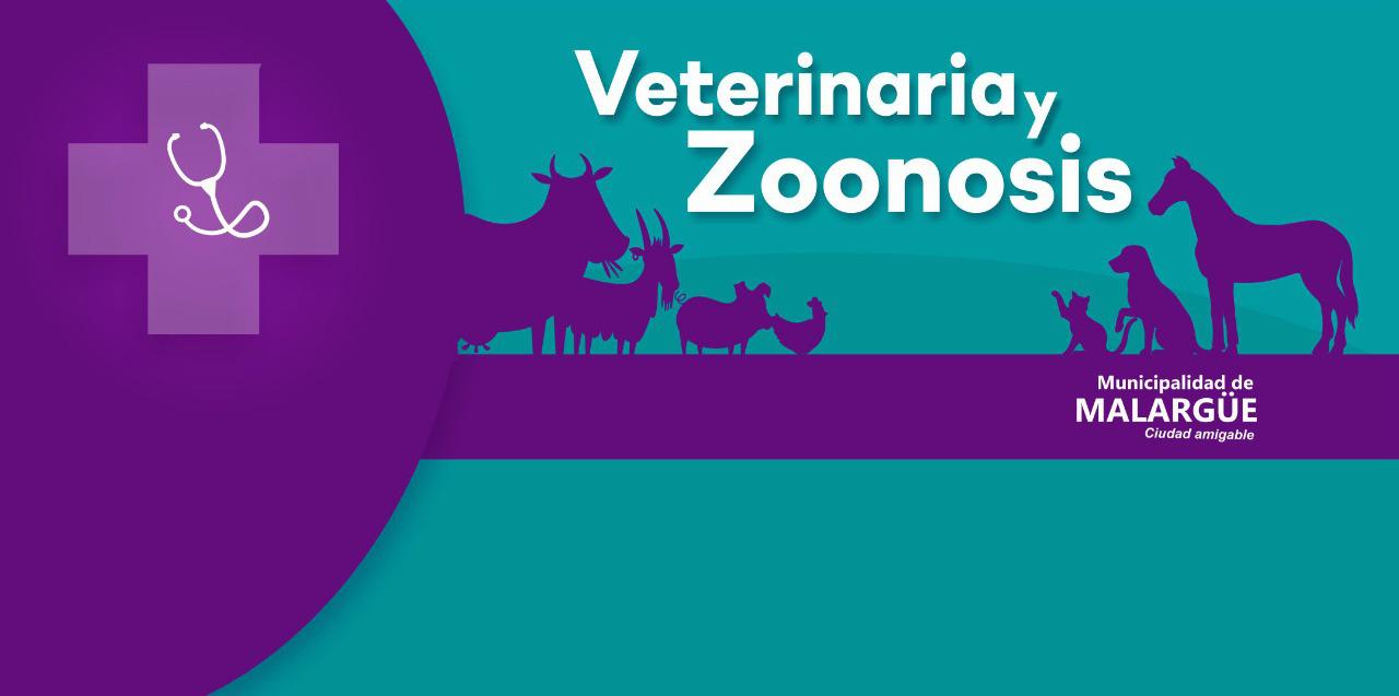 vet