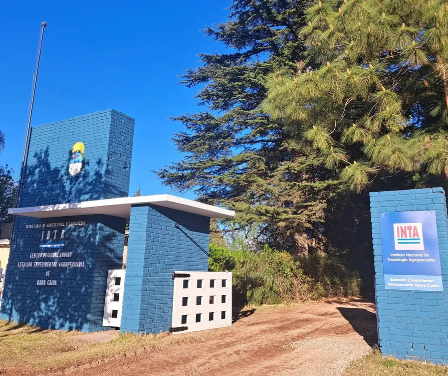 409556576_654208750251856_3116095849414505860_n