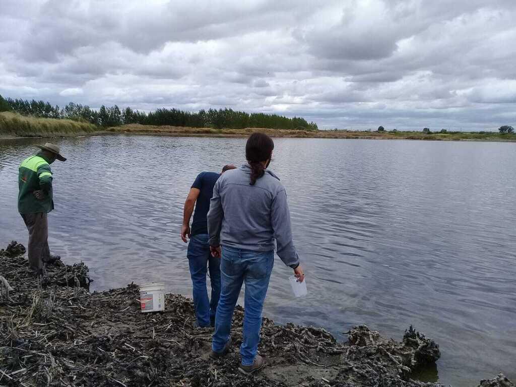 1612883736921Laguna maipú2