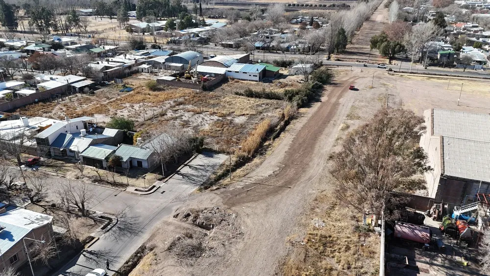 WhatsApp Image 2025-08-01 at 08.43.45