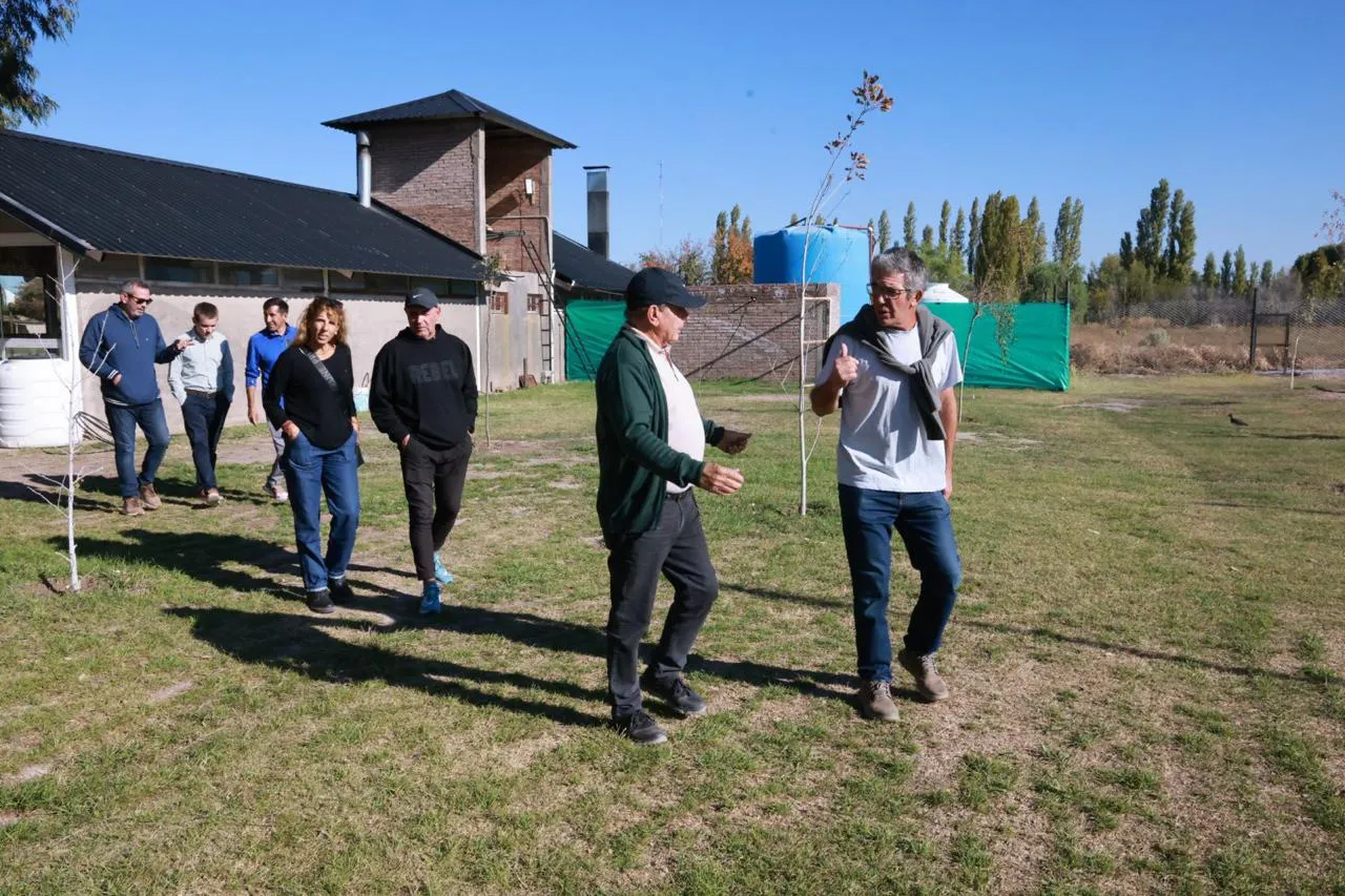 WhatsApp-Image-2024-04-22-at-19.27.57