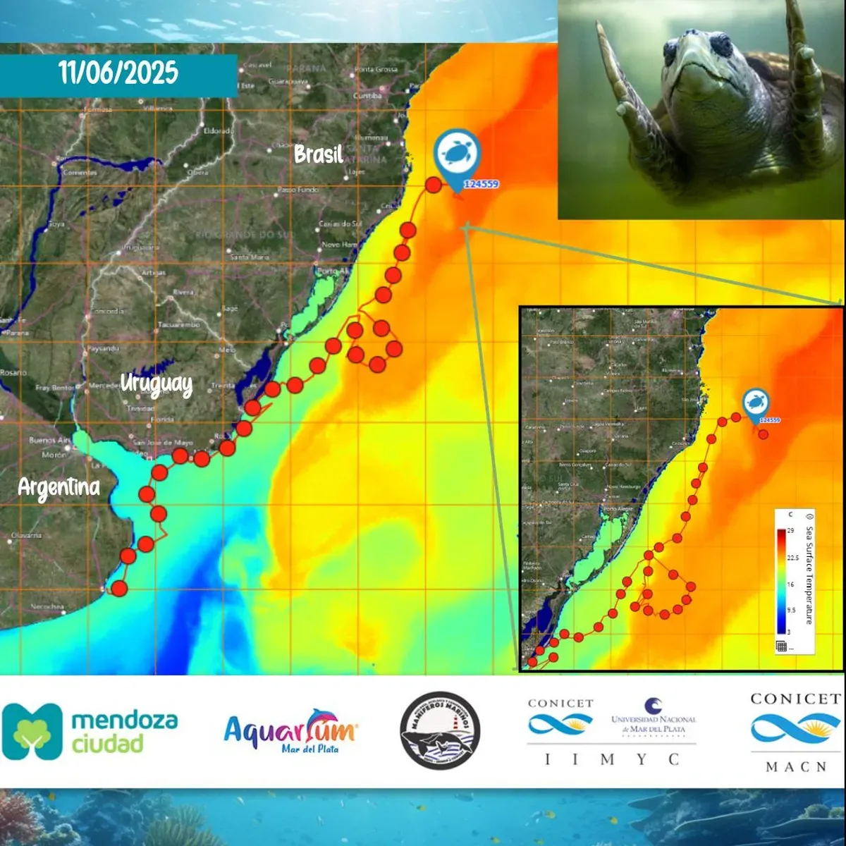recorrido-del-tortugo-jorgejpg