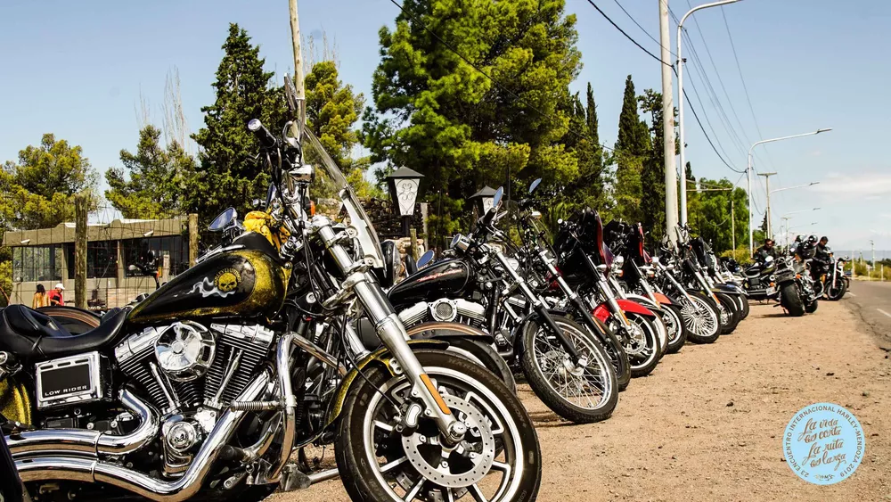harley-2